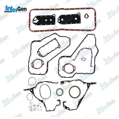 OEM 3800558 CMS Engine Gasket Set for CMS 6CT Bottom Gasket