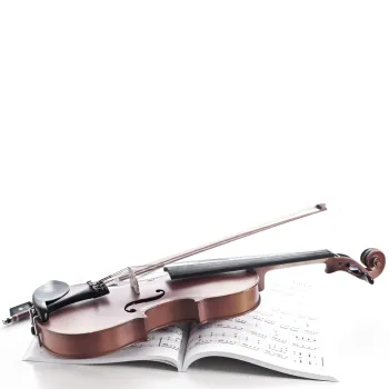 wws43 Violin
