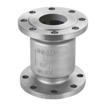 High-Performance Stainless Steel Vertical Check Valve