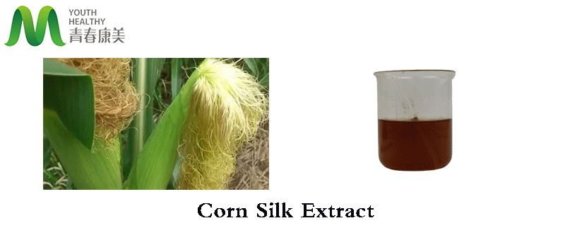 Corn-Silk-Extract2