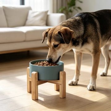 Teal Ceramic Elevated Dog Bowl, Wooden Stand Pet Feeder, Raised Dog Food and Water Bowl for Medium and Large Dogs