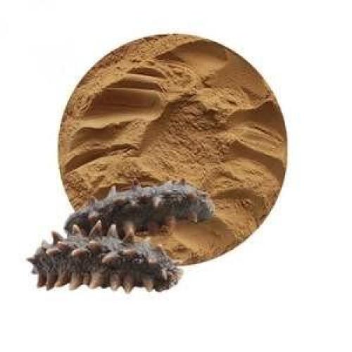 Sea cucumber Extract Powder 15% protein 20% polysaccharide