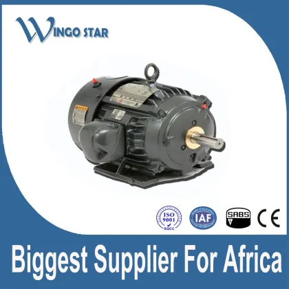 WINGO STAR iec standard three phase electric motor