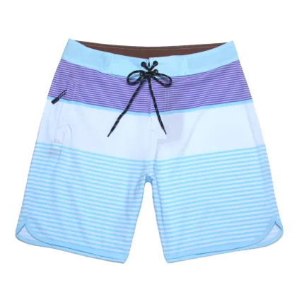 Custom Logo Men's Quick-Dry Sport Mesh Shorts