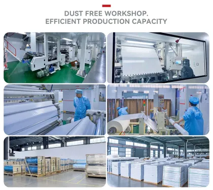 Tesla model s clear bra