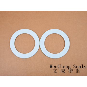PTFE Series/CNAF Gasket Series(no-holes)