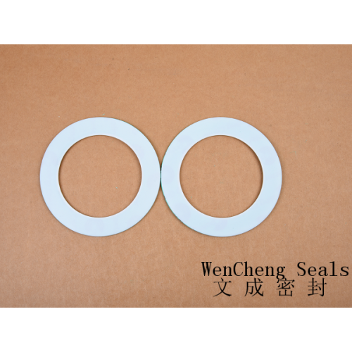 PTFE Series/CNAF Gasket Series(no-holes)