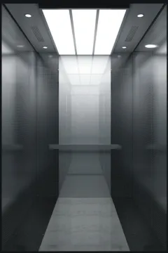 Small Home Elevator Lift Elevator with Good Price