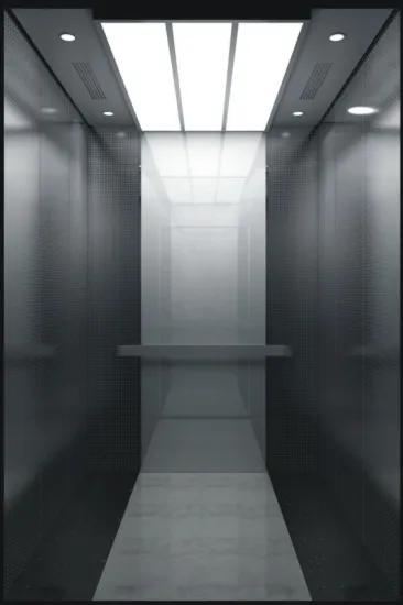 Outstanding Traction homes small elevators