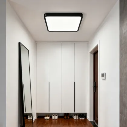 Ceiling Light with Night Light Mode