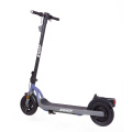 Bagong Disenyo 10inch 350W Electric Scooter