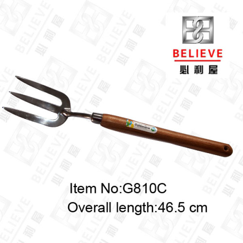 Stainless Steel Hand Fork G810c