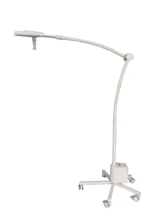 Portable beauty examination lamp