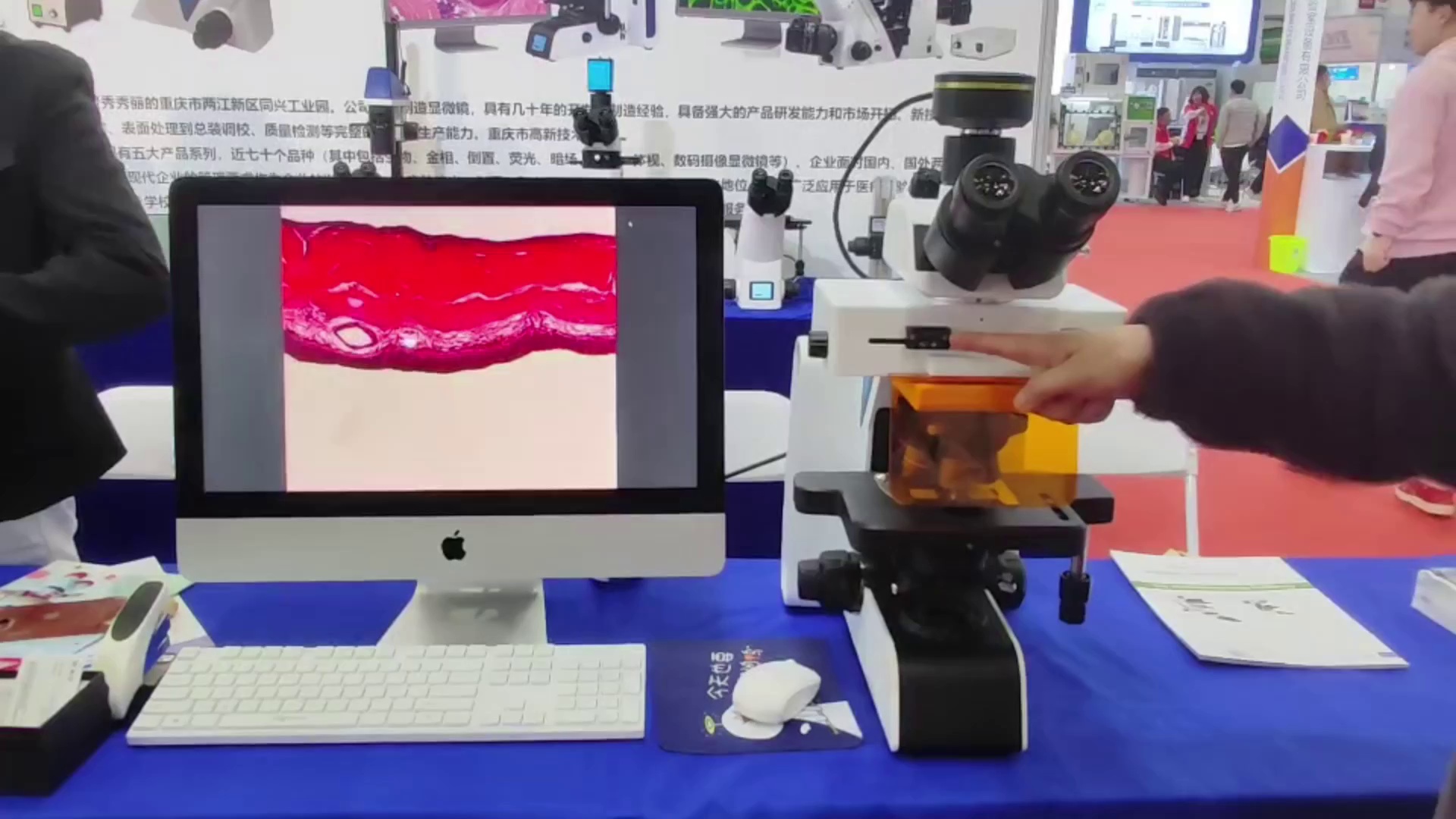 Brs1000 Series Biological Research Microscope