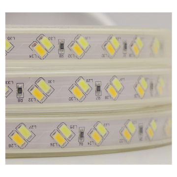220V Exterior Outdoor IP67 Waterproof LED Light Strip - 120 LED Double Row SMD 5730 High Brightness Flexible Tape Light