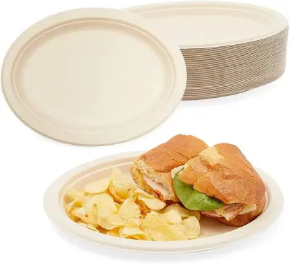 Customized Green Disposable Tableware Lunch Food