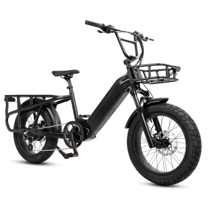 Mario Ebike 250w Fat Tire Electric Cargo Family City Road Bike