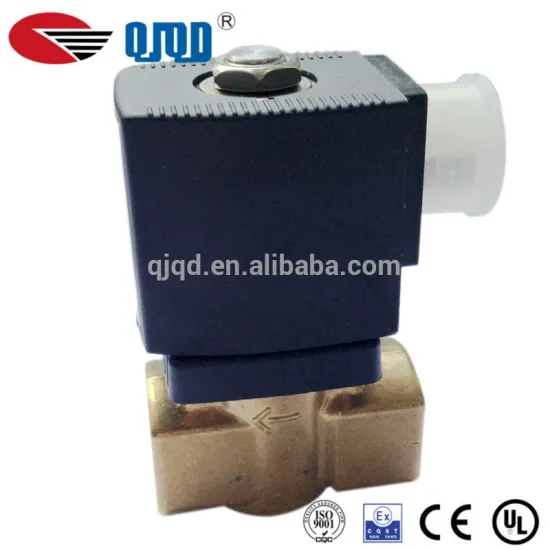 Micro Solenoid Valve AC 220V Guide Tpye