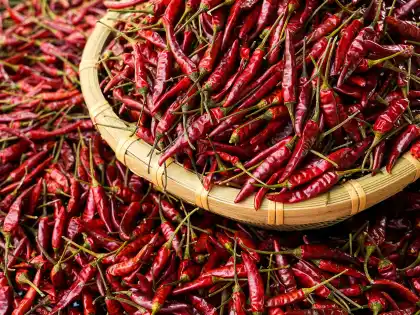 Spicy to the point screaming Dried chili-Erjingtiao