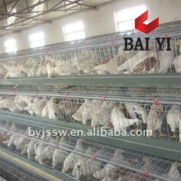 Cage for Chickens With Competitive Price