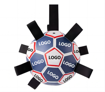 Customized Interactive Pet Soccer