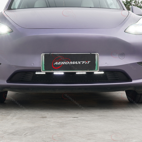Tesla Model Y front grille insect net