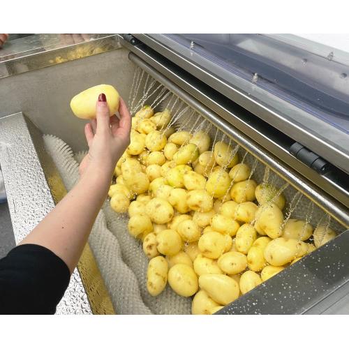 Commercial Potato Peeling Machine Larger Brush Potato Washing and Peeling Machine Manufactory