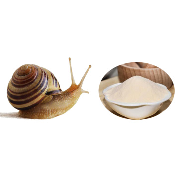 Snail Slime Extract Cosmetic Additive Powder 10:1