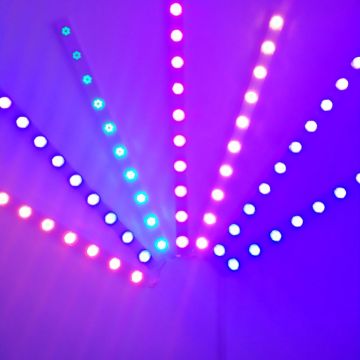 Chinese Manufacturer Flush Mount Bedroom Sculpture Outdoor LED Ceiling Lights DC24V 12V WS2811 WS2812
