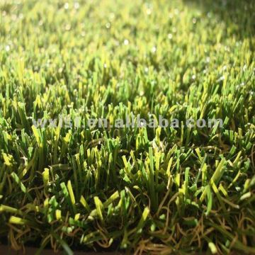 aquarium grass