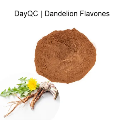 Supply Chinese Herb Flavonoids Dandelion Root Extract Powder