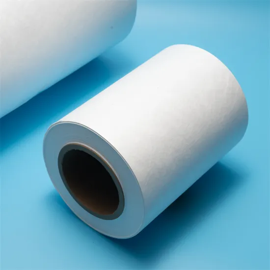 Tyvek Plasma sterilization roll bag