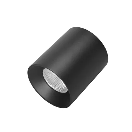 CITIZEN COB LED Light Source with CE, LVD, EMC, and RoHS Certification - Surface Mounted Downlights