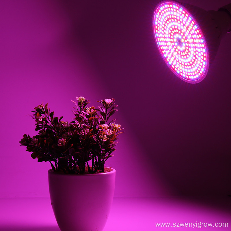 Use Regular Light bulbs as grow lights