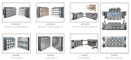 JinXin Brand OEM Customized Disposable Plastic Cup Thermoforming Mold