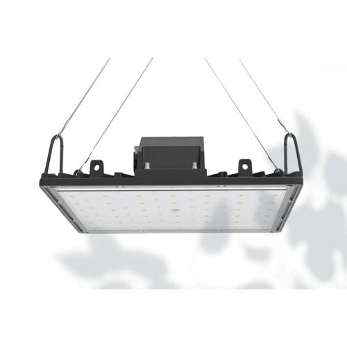 Luz de cultivo LED blanca de espectro completo para plantas