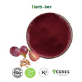 Grape Seed Extract Powder