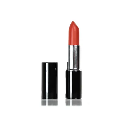 Custom Lip Makeup Vegan Matte Lipstick Private Label