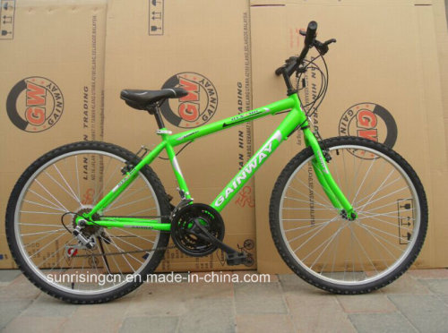 Cheap Price Mountain Bicycle SR-GW28