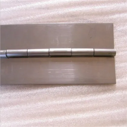 Stainless Long Hinge Curtain Wall Hinge
