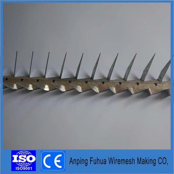 Anti Climb Wall Spikes