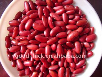 British dark red kidney bean
