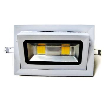 Excellent 40w LED Flood Lights Projector Lamp, Floodlight IP66,CE Rohs