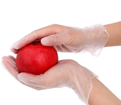 Single Use Gloves Safety Protective Clear Vinyl Glove