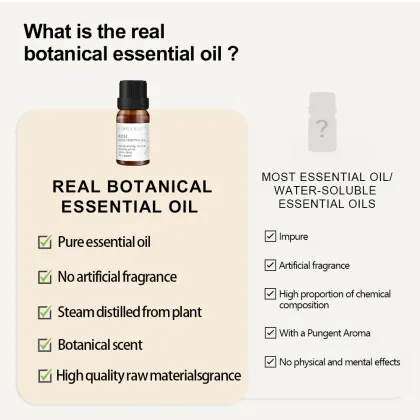 Private Label Nature Bergamot Aromatherapy Oil with Rosemary Essential Oil for Diffusers