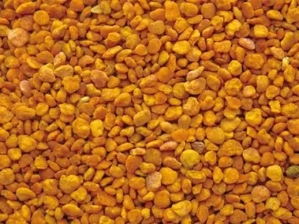 Bulk Bee Pollen Tea Pollen Granules