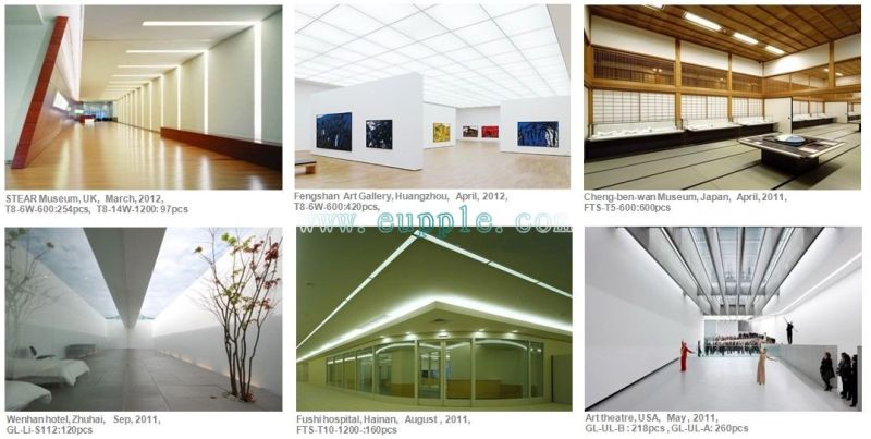 (T8-1500-21W) LED Tube Light, LED Lighting Tube, T8 LED Tube (5years Warranty)