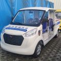 Closed 8-seat petrol sightseeing car