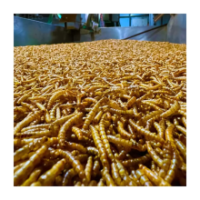 Dried Mealworms For Small Pet Feed Freeze Dried Yellow Mealworm Animal Feed Pet Food Supplier