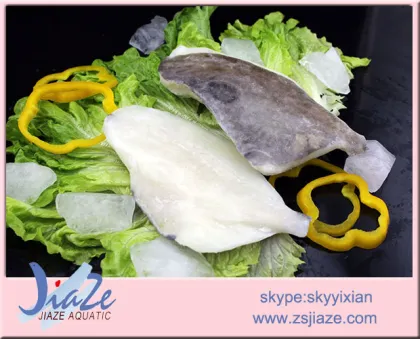 Frozen Fish John Dory fillet
